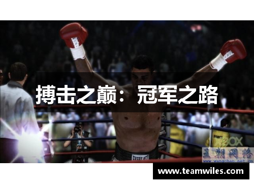 搏击之巅：冠军之路